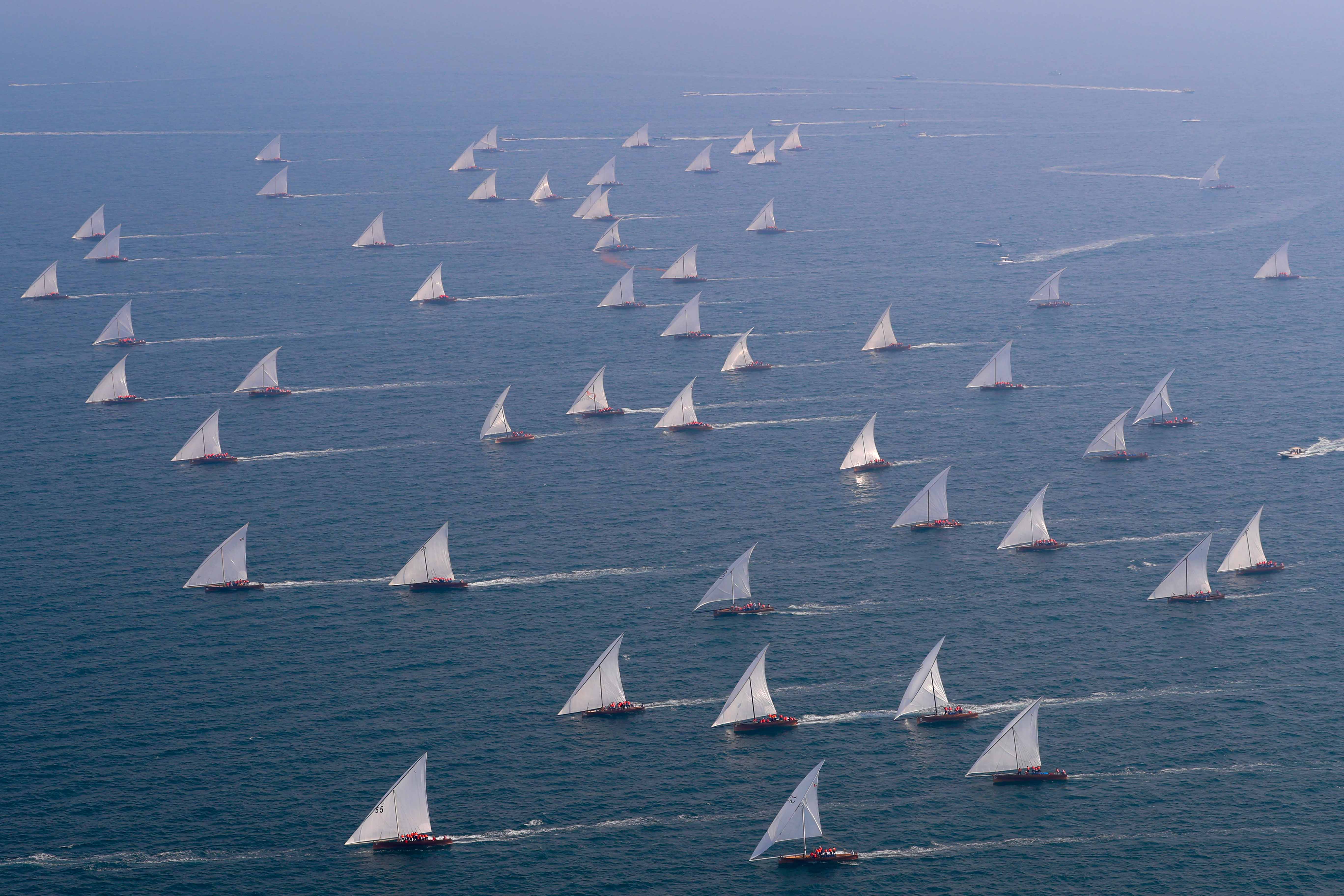 84 boats for 43ft Dubai Traditional Dhow Sailing Race Today