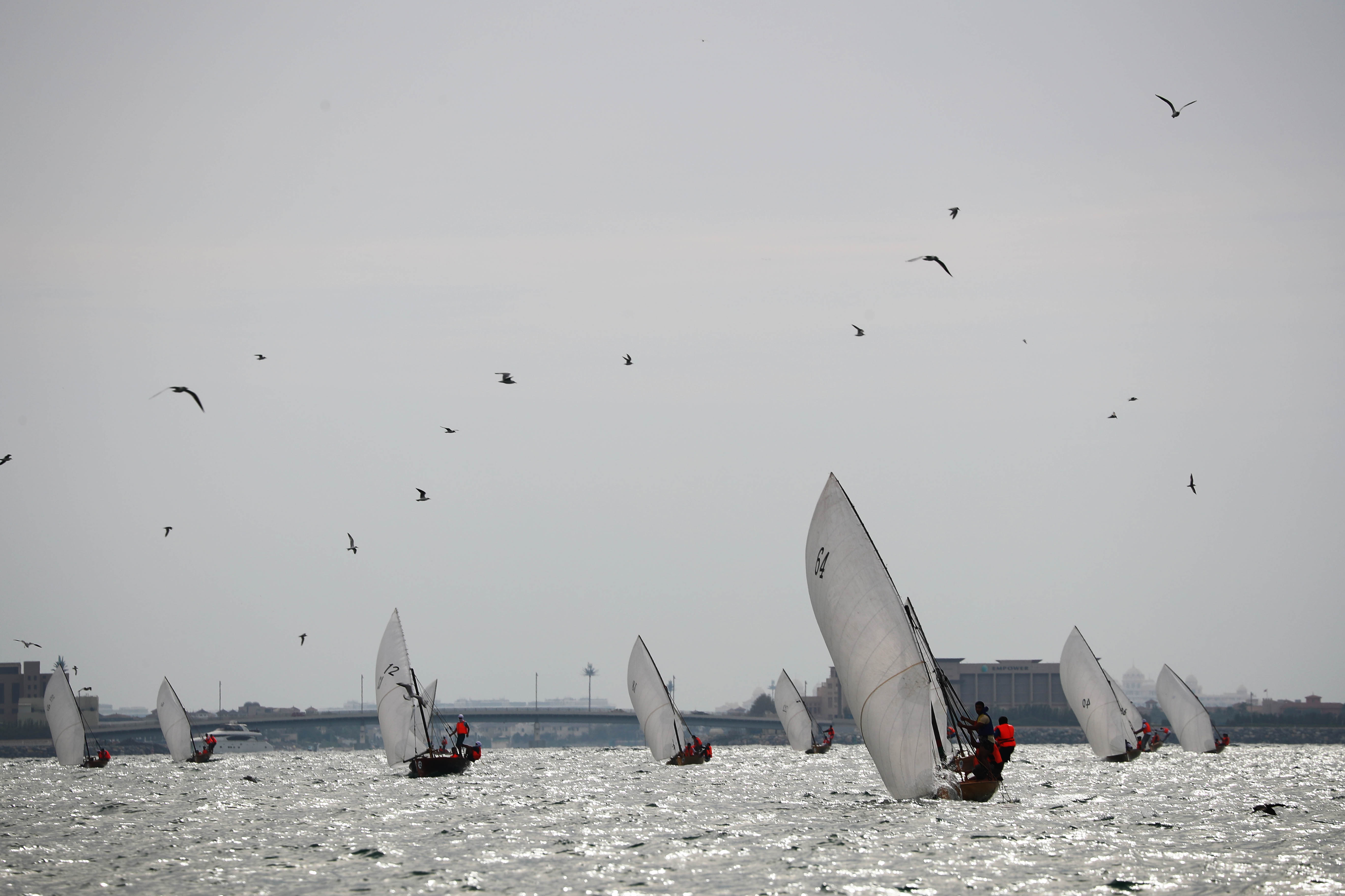 22ft Dubai Traditional Dhow Sailing Race Kicks off tomorrow