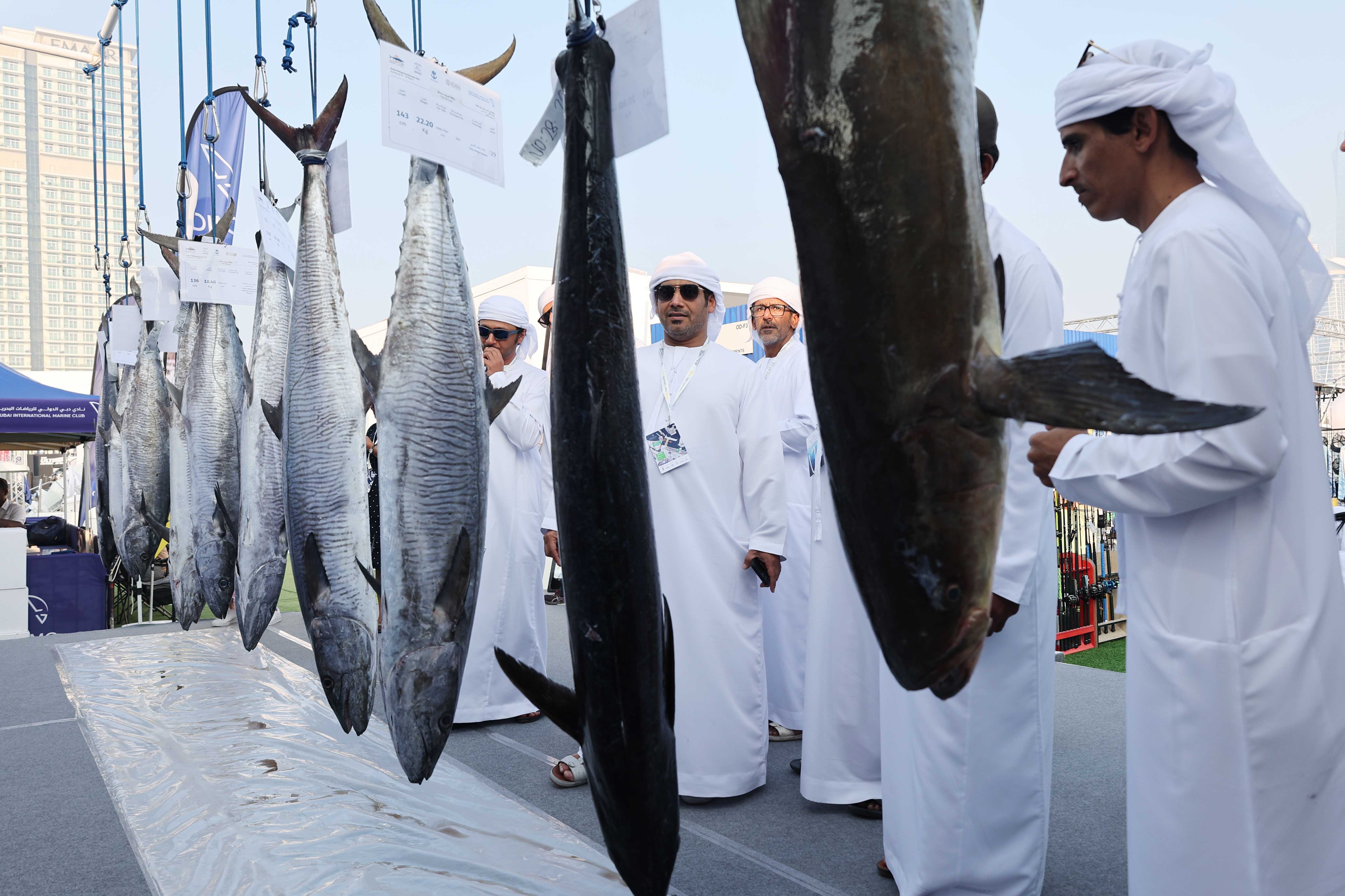 Dubai Fishing Competition's Second Round to Commence on Thursday