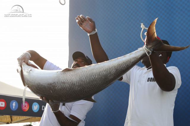 22.13-9.0 ‎بطولة دبي لصيد الأسماك -المرحلة الثانية